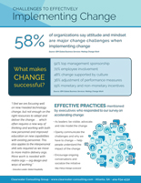 Clearwater Challenges to Effectively Implementing Change Document